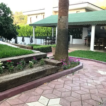 Отель Forest Park 3*