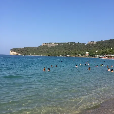 Forest Park Отель
